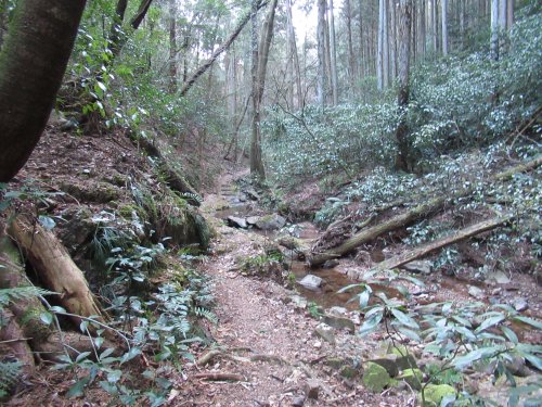 せせらぎルート登山道